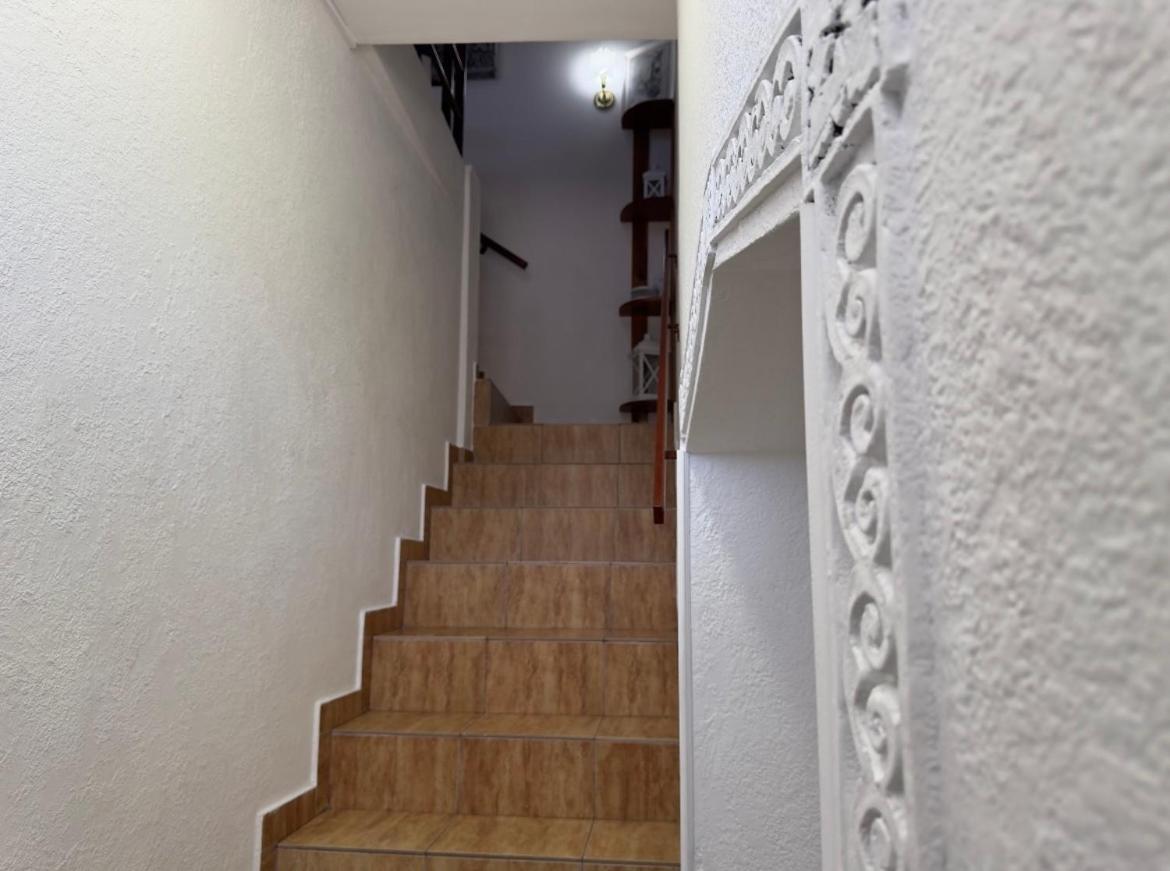 Guesthouse Vladimir & Ana Pančevo 外观 照片