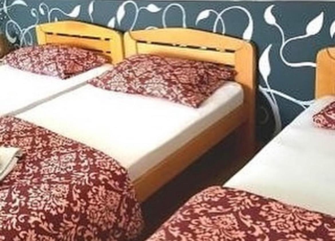Guesthouse Vladimir & Ana Pančevo 外观 照片